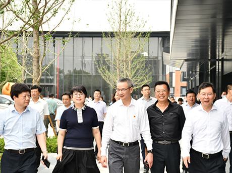 龙盛活力小镇 | 上海市宝山区委宝山区区委常委、副区长苏平一行来龙盛泰迪活力小镇调研